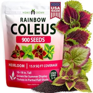 HOME GROWN California Poppy Ivory Castle 2500 Seeds 3.3g 2026 Spring Flower Seeds for Planting Outdoors, California Poppies, Bulk Perennial Self Seeding Flower Seeds (Eschscholzia Californica)(Coleus Rainbow – Medium)