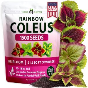 HOME GROWN California Poppy Ivory Castle 2500 Seeds 3.3g 2026 Spring Flower Seeds for Planting Outdoors, California Poppies, Bulk Perennial Self Seeding Flower Seeds (Eschscholzia Californica)(Coleus Rainbow – Large)