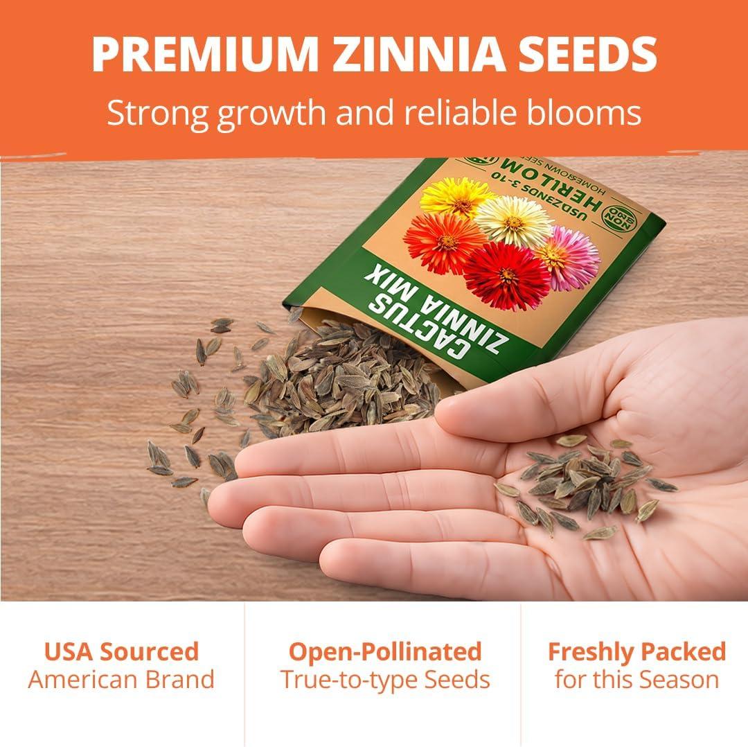 image:imageHOME GROWN Zinnia Cactus Mix Seeds 650 Flower Seeds for Spring Planting Outdoors 2026 Large Zinnia Flower Seed Easy Grow Garden amp Cut Flowers Zinnia elegans