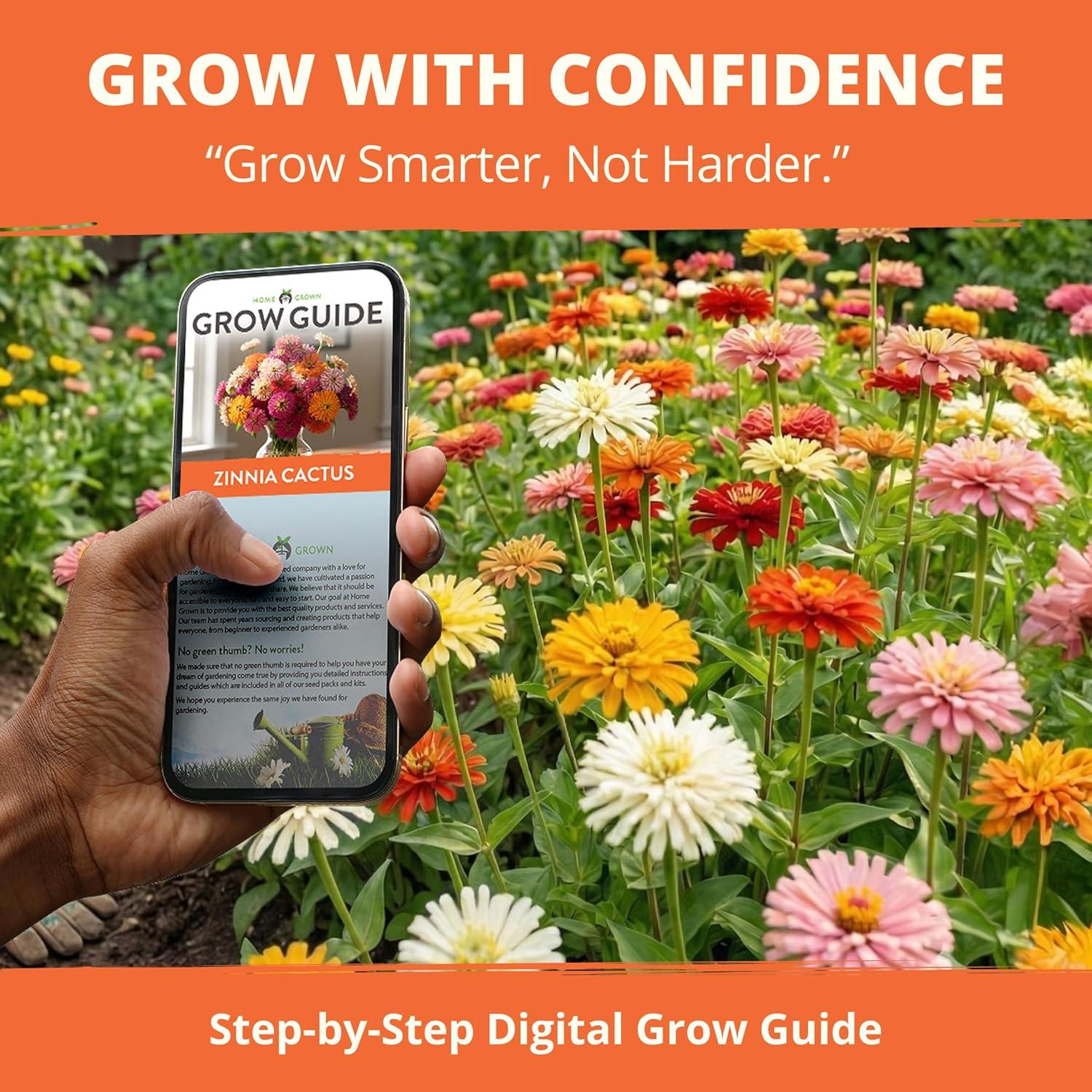 image:imageHOME GROWN Zinnia Cactus Mix Seeds 650 Flower Seeds for Spring Planting Outdoors 2026 Large Zinnia Flower Seed Easy Grow Garden amp Cut Flowers Zinnia elegans