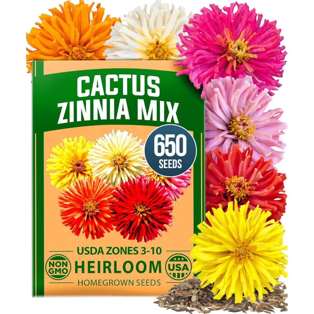image:imageHOME GROWN Zinnia Cactus Mix Seeds  650 Flower Seeds for Spring Planting Outdoors 2026 Large Zinnia Flower Seed Easy Grow Garden amp Cut Flowers Zinnia elegans