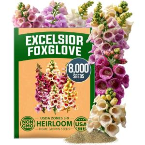 HOME GROWN Foxglove Seeds Mix 8000 (0.8g) Excelsior 2026 Spring for Planting Flower Seeds – Mixed Colors Wildflowers Bulk, Perennial Flower Seeds Packets, Cottage Garden (Digitalis purpurea)