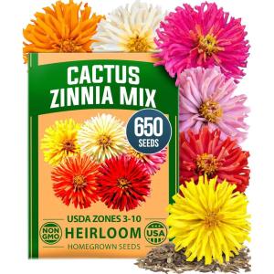 HOME GROWN Zinnia Cactus Mix Seeds – 650 Flower Seeds for Spring Planting Outdoors 2026, Large Zinnia Flower Seed, Easy Grow Garden & Cut Flowers (Zinnia elegans)