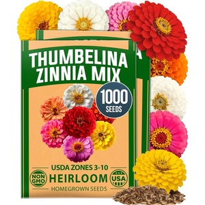 HOME GROWN Zinnia Seeds for Planting Thumbelina 1,000 Seeds (4.8g / 2 Packs) – Dwarf Zinnia Flower Seeds, Mixed Colors, Easy Flowers to Plant Outside, USDA Zones 3–10 (Zinnia Elegans)